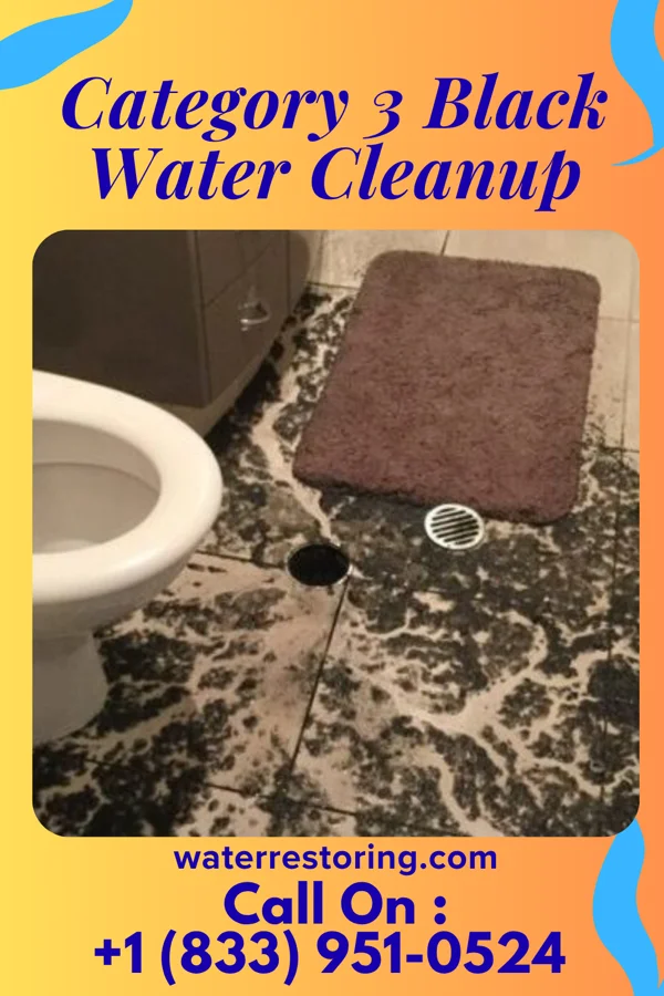 Category 3 Black Water Cleanup in Grapeland, TX