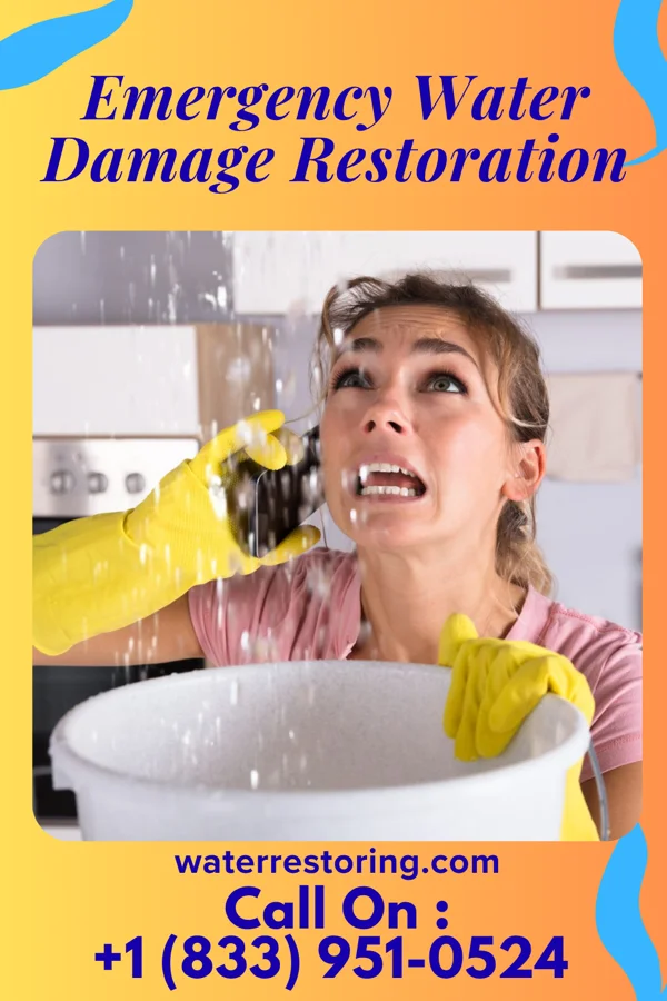Emergency Water Damage Restoration in Grapeland, TX